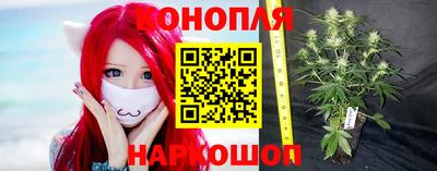 spice Нальчик