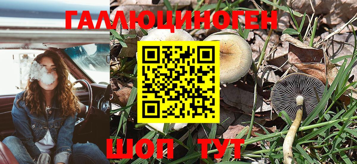 Псилоцибиновые грибы мухоморы  Псилоцибиновые грибы Magic Shrooms  Вход с VPN  Иркутск 
