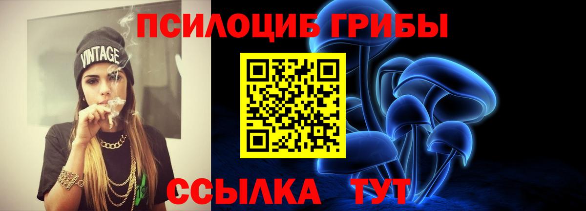 Псилоцибиновые грибы Cubensis Иркутск